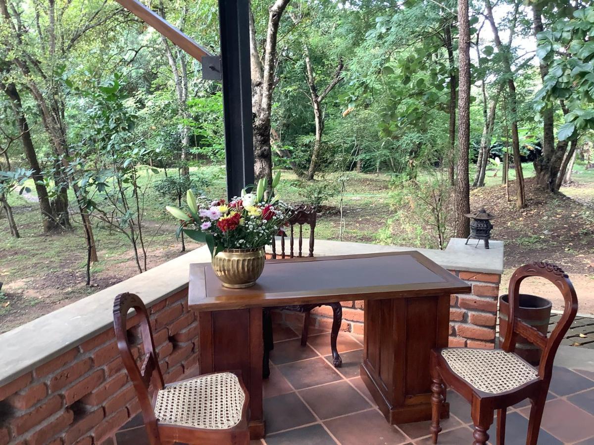 Mind Body And Soul Hotel Dambulla Exterior foto