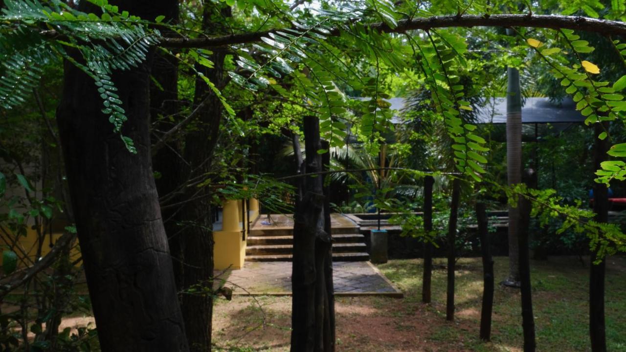 Mind Body And Soul Hotel Dambulla Exterior foto