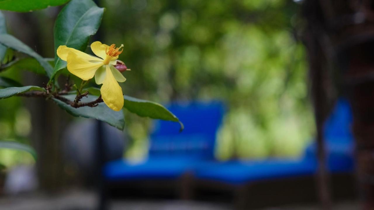 Mind Body And Soul Hotel Dambulla Exterior foto