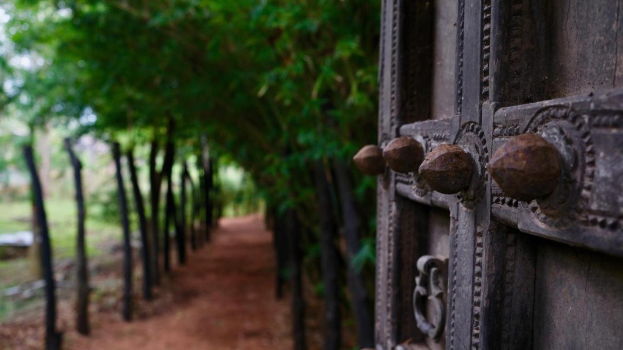 Mind Body And Soul Hotel Dambulla Exterior foto