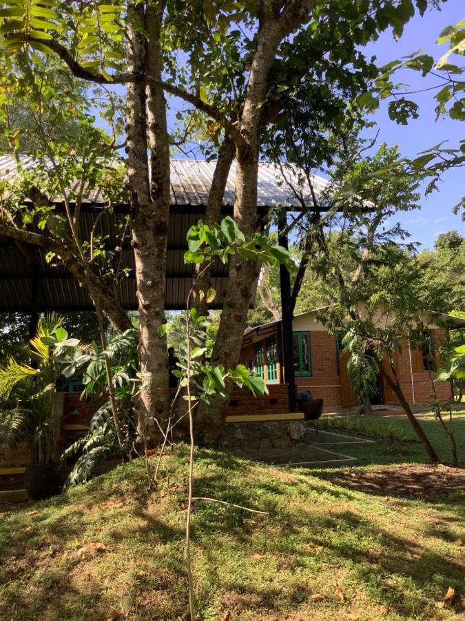 Mind Body And Soul Hotel Dambulla Exterior foto