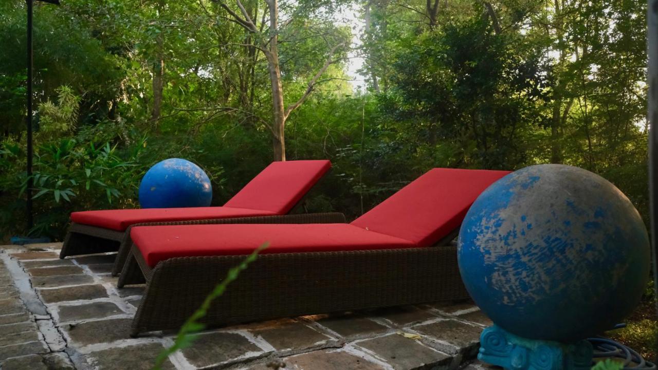 Mind Body And Soul Hotel Dambulla Exterior foto
