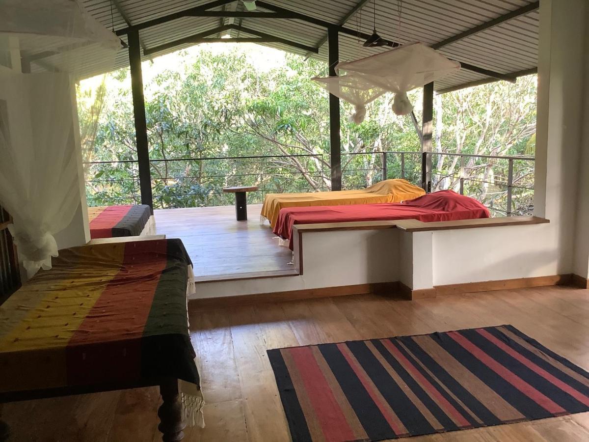 Mind Body And Soul Hotel Dambulla Exterior foto