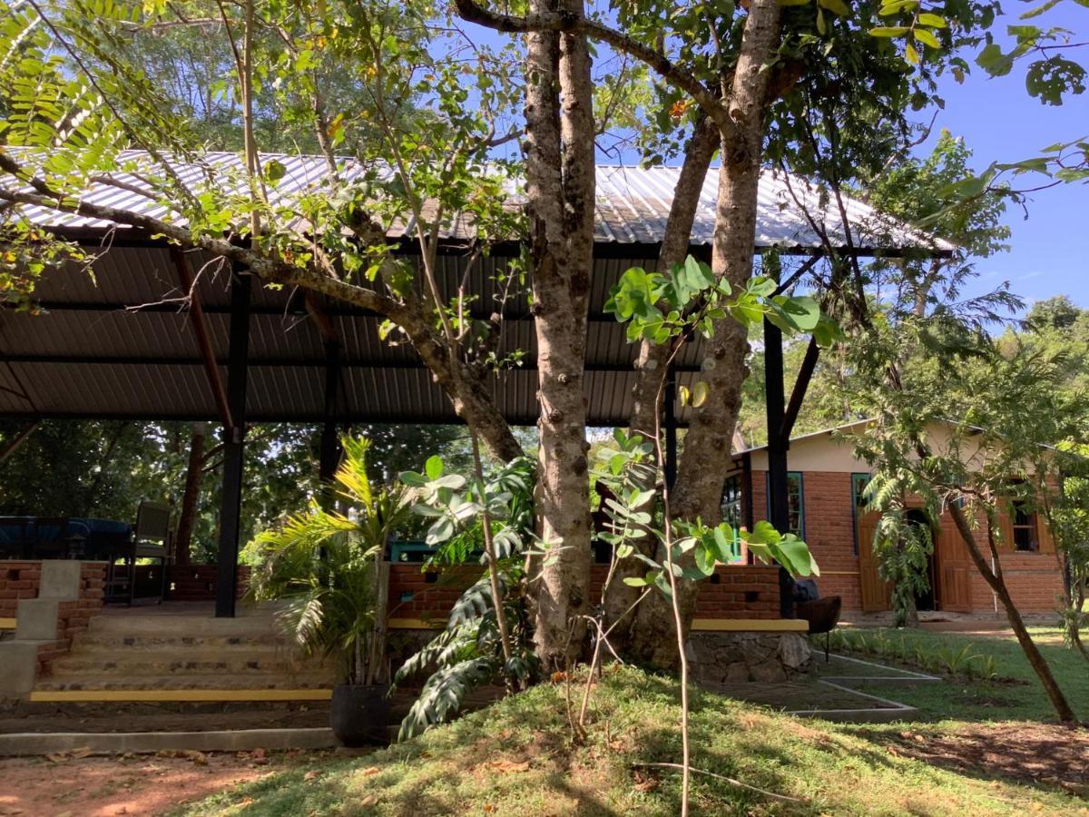 Mind Body And Soul Hotel Dambulla Exterior foto