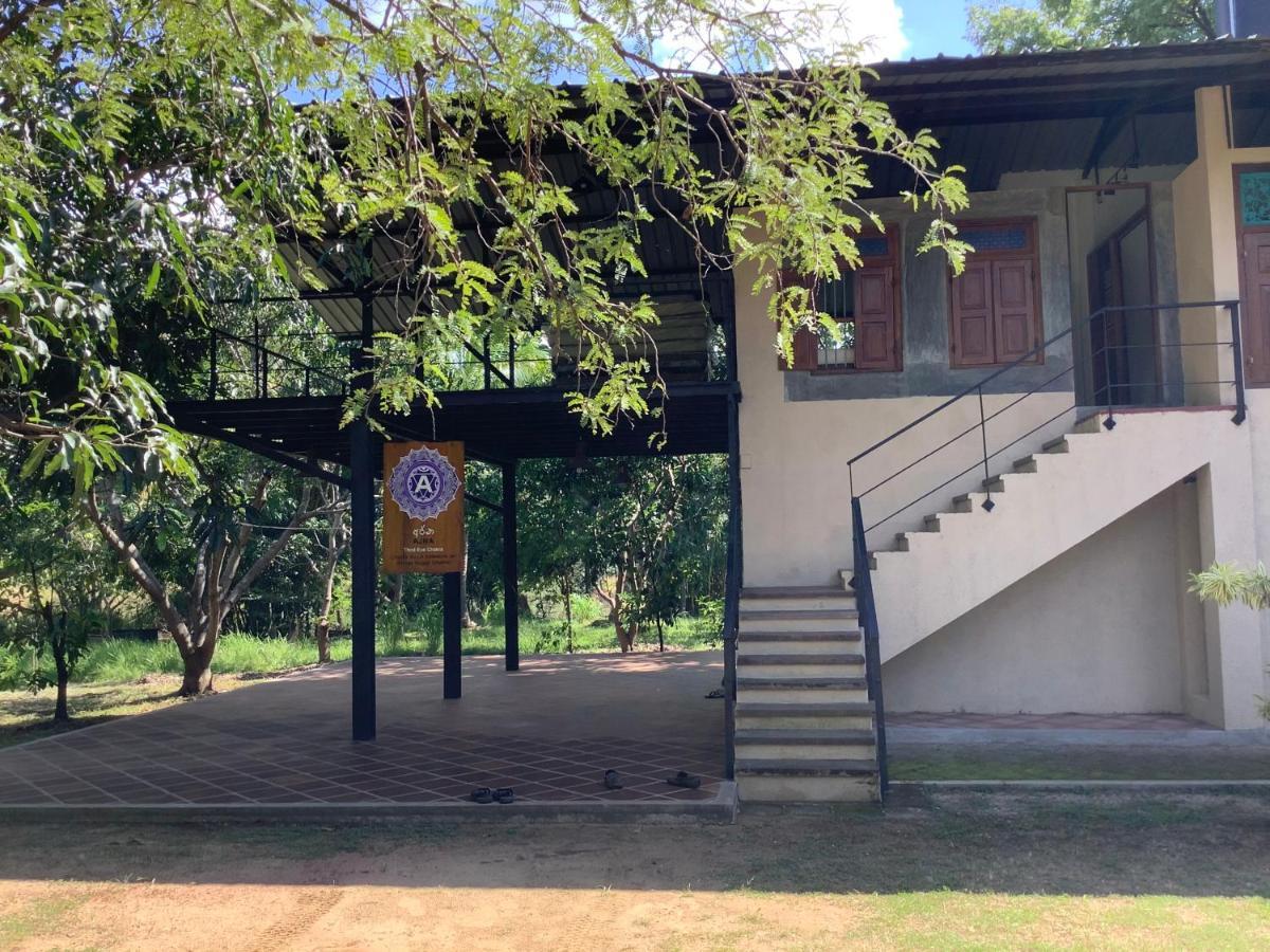 Mind Body And Soul Hotel Dambulla Exterior foto