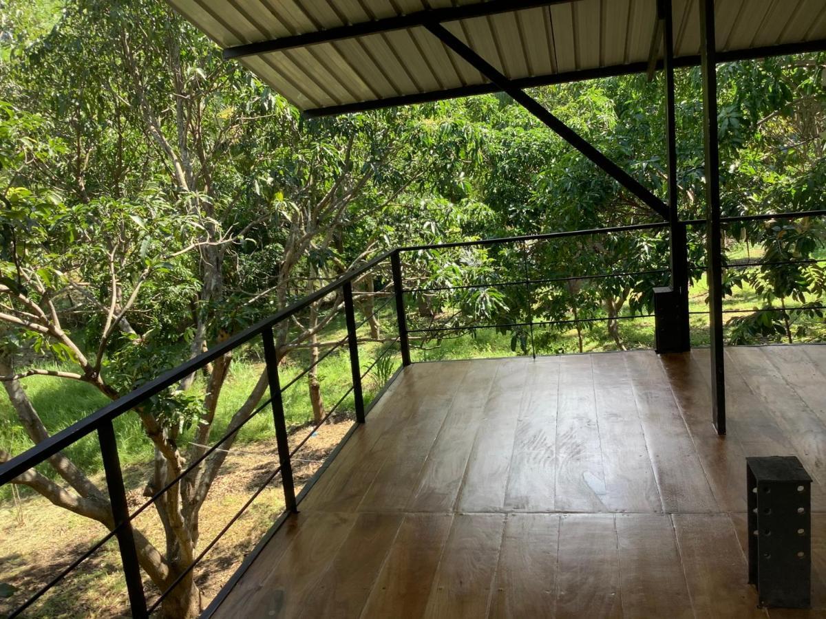 Mind Body And Soul Hotel Dambulla Exterior foto