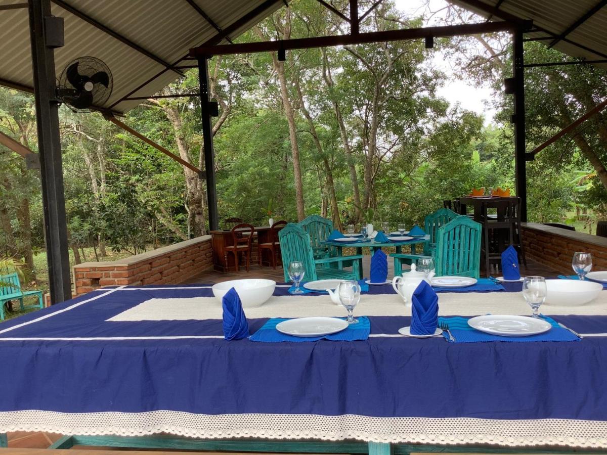 Mind Body And Soul Hotel Dambulla Exterior foto