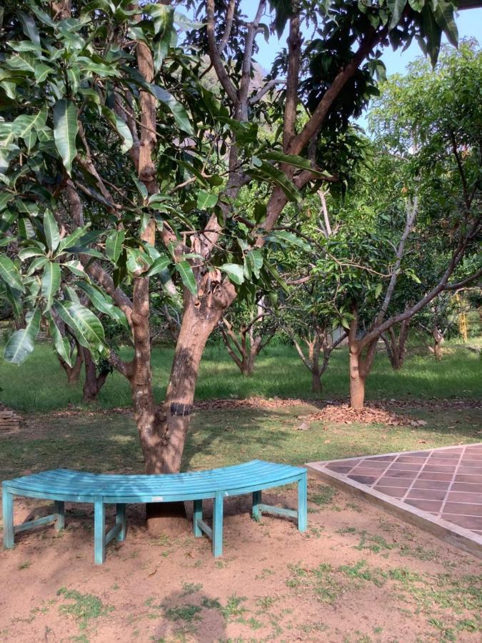 Mind Body And Soul Hotel Dambulla Exterior foto